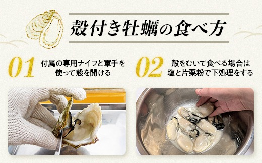 【能登半島地震復興支援】魚介類 牡蠣　/ 能登かき　殻付牡蠣 半缶/約5kg（約40～50個） 専用ナイフ 片手用軍手付 /世界農業遺産「能登の里山里海」｜ カキ かき オイスター 国産 加熱用 冷蔵 カキフライ 牡蠣鍋 海鮮 魚介 石川県 七尾市 能登  ※要加熱 ※2026年1月下旬～5月下旬頃に順次発送予定 ※離島への配送不可