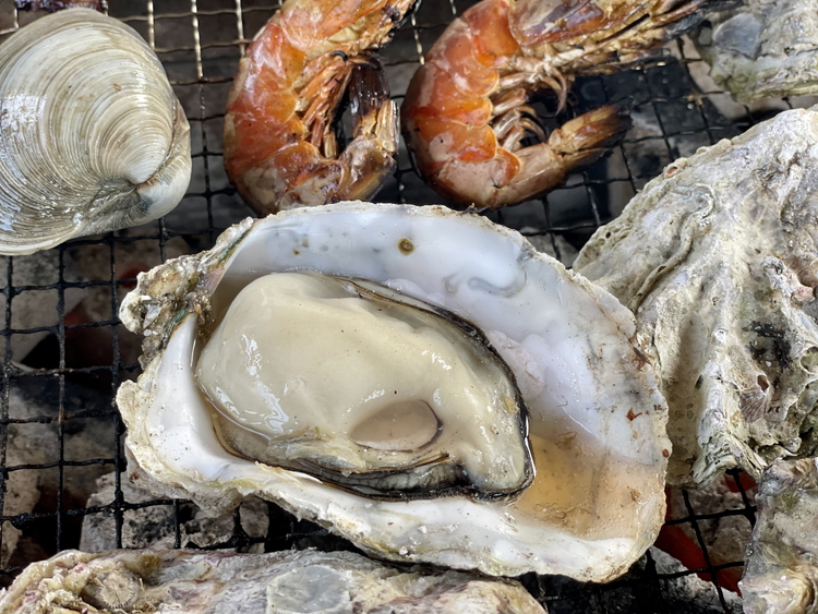 石川県七尾産 能登かき 殻付き 一斗缶（約80個）｜ 牡蠣 カキ かき オイスター 国産 加熱用 冷蔵 ガンガン カンカン 缶 BBQ バーベキュー キャンプ カキフライ 牡蠣鍋 海鮮 魚介 石川県 七尾市 能登 復興 復興支援 ※北海道・沖縄・離島への配送不可 ※2025年12月上旬～2026年5月下旬頃に順次発送予定