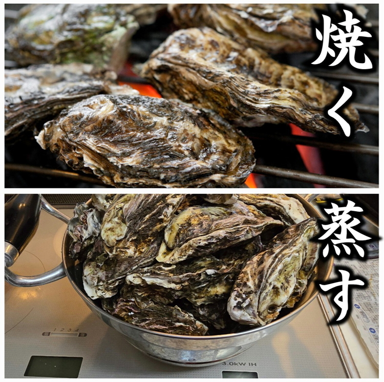 【発送時期が選べる】盛ちゃん（湯田水産） 能登牡蠣 殻付き 一斗缶（70個前後） 約11kg 加熱用 ｜ 牡蠣 カキ かき オイスター 国産 冷蔵  缶 BBQ バーベキュー キャンプ カキフライ 牡蠣鍋 海鮮 魚介 石川県 七尾市 能登 復興 復興支援 ※北海道・沖縄・離島への配送不可 ※2026年1月上旬～3月下旬頃に順次発送予定