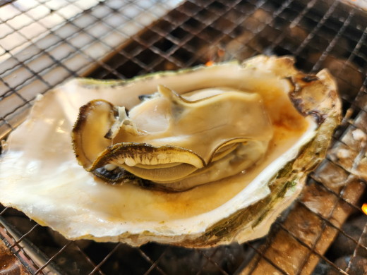 飛田水産　石川県七尾産　能登かき　殻付き半缶｜牡蠣　専用ナイフ 牡蠣 かき カキ 能登の里山里海 石川県七尾市 能登半島　※要加熱 ※2026年1月上旬～5月下旬頃に順次発送予定 ※北海道・沖縄・離島への発送不可