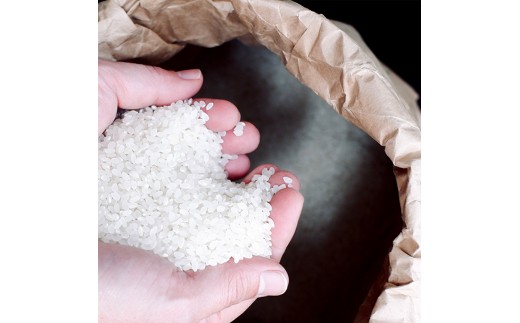 能登島のふるさと米 コシヒカリ5kg 精米 ※2026年1月上旬～7月中旬頃に順次発送予定