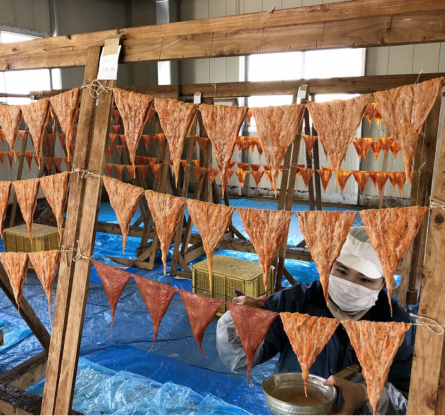 能登の珍味「干くちこ」 木箱入り1枚｜魚介類 干物 高級 珍味 なまこ