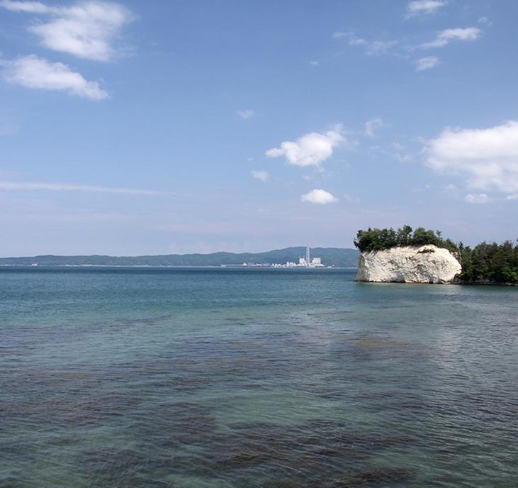 能登炊込みご飯セット　サザエ フグ 牡蠣