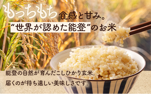 【発送時期が選べる】令和7年産 石川県能登産 こしひかり玄米10kg（5kg×2個） / 米 玄米 10kg 日本初！世界農業遺産認定「能登の里山里海」の恵み ｜石川県 七尾市 能登 こしひかり お米 復興 復興支援