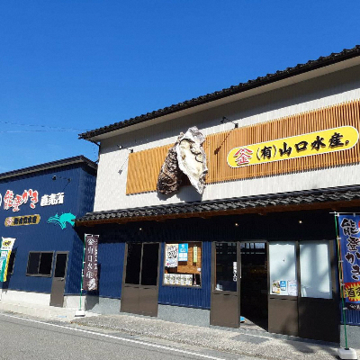 【発送時期が選べる】山口水産の能登かき / 三分缶(約30個入り)◇ ｜ 牡蠣 カキ かき 殻付き オイスター 国産 加熱用 冷蔵 カンカン 缶 BBQ バーベキュー キャンプ  カキフライ 牡蠣鍋 海鮮 魚介 山口水産 石川県 七尾市 能登 復興 復興支援 ※2026年1月中旬～5月中旬頃に順次発送予定 ※離島への配送不可