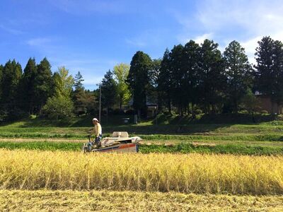 のと自然栽培米みのり 玄米 5kg ※2025年12月中旬～2026年3月下旬頃に順次発送予定