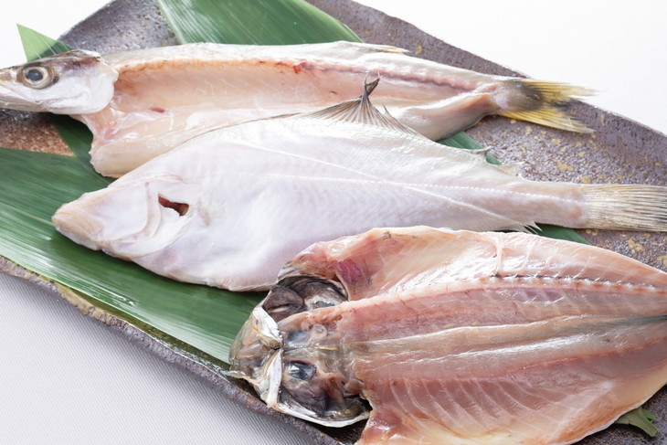 魚介類/干物セット/能登 里海 里干しの詰め合せ（かます・カレイ・ふぐ・あじ・さば・いか・いわし）干物セット ※2024年1月下旬頃より順次発送予定