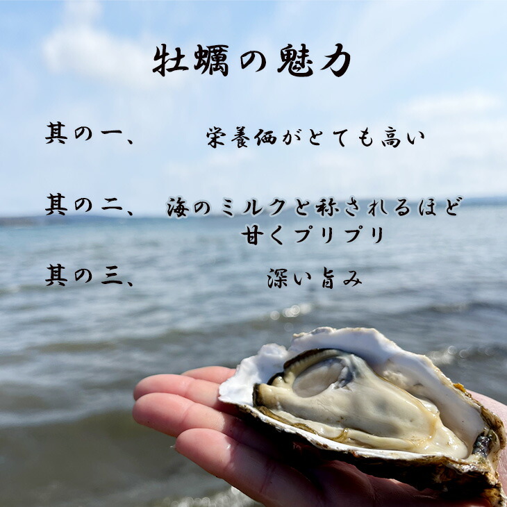 【発送時期が選べる】能登かき むき身（加熱用） 900g~1kg ｜ 牡蠣 カキ かき オイスター 国産 冷蔵 カキフライ 牡蠣鍋 海鮮 魚介 石川県 七尾市 能登 復興 復興支援 ※離島への発送不可 ※2026年1月上旬～5月上旬頃に順次発送予定
