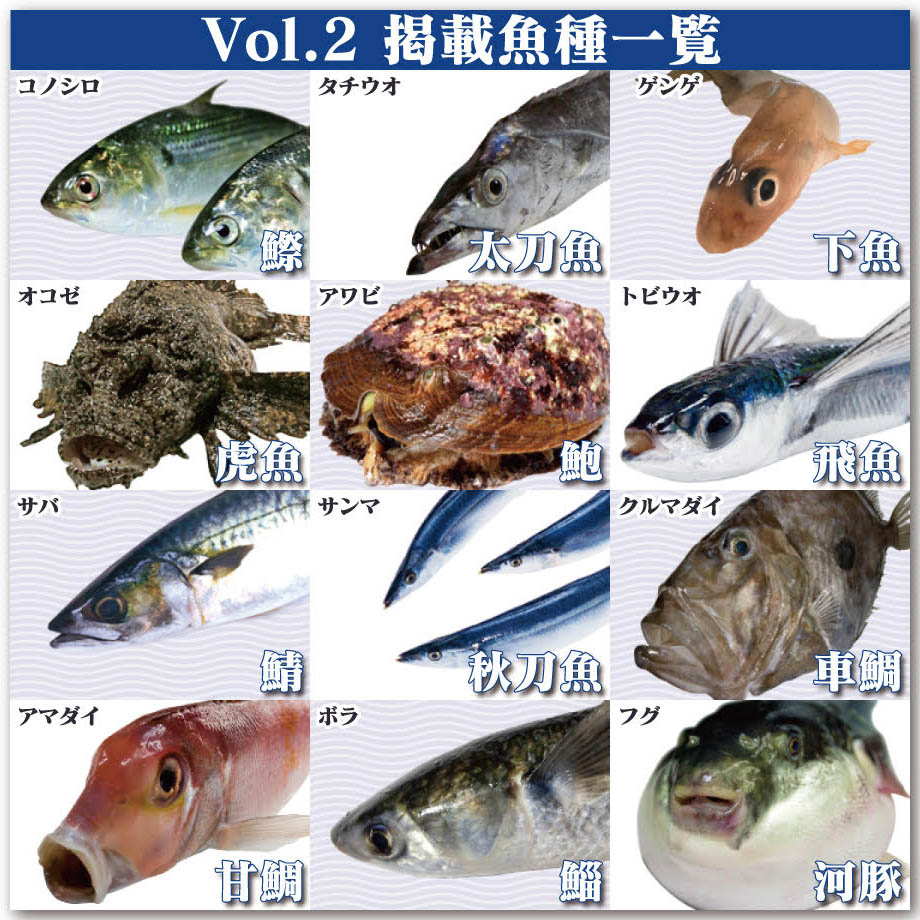 Fのさかなおもしろ図鑑vol.2（単品）