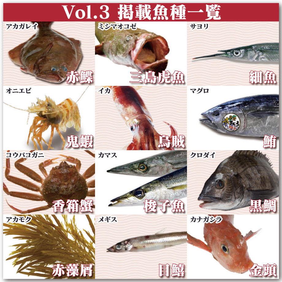 Fのさかなおもしろ図鑑vol.3（単品）