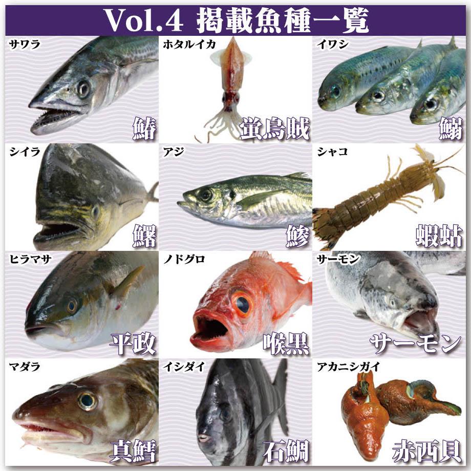 Fのさかなおもしろ図鑑vol.4（単品）