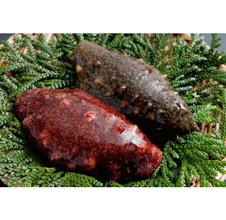 魚介類/能登なまこ贅沢セット　赤なまこ酢120g×2袋・青なまこ酢120g×2袋 このわたいくら醤油漬け100g×1本◆※2023年2月より順次発送