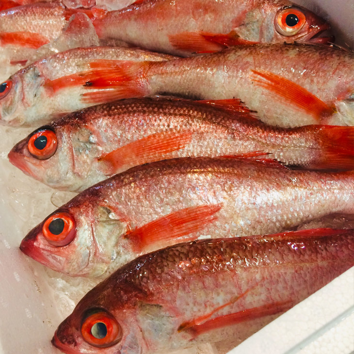 魚介類　海鮮/天然のどぐろしゃぶしゃぶセット 1～2名様用 180g×1皿（のどぐろ2匹分）＋だし用骨付 ※2024年5月上旬～10月下旬頃に順次発送予定