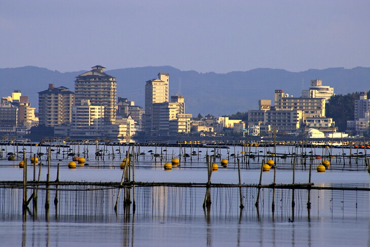 魚介類 牡蠣 能登かきむき身と殻付きセット・加熱用［むき身450g・殻付20～25個］｜牡蠣 むき身 かき カキ 加熱用 カキフライ 牡蠣飯 海鮮 魚介 国産 石川県 七尾市 能登 復興