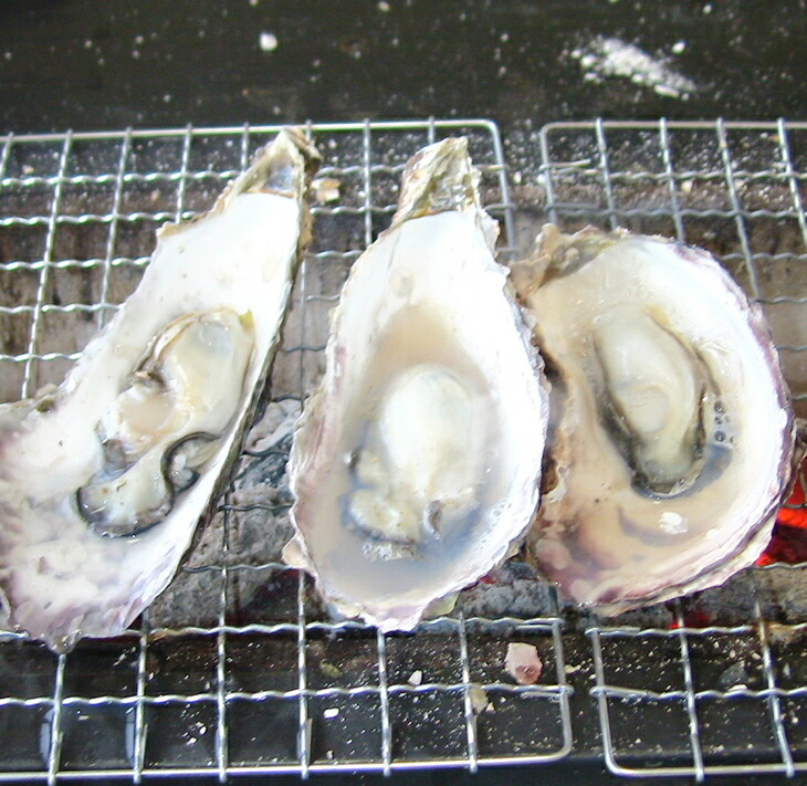 魚介類 牡蠣 能登かきむき身・加熱用［むき身450g×2個］｜牡蠣 むき身 カキ 加熱用 カキフライ 海鮮 魚介 国産 石川県 七尾市 能登 復興