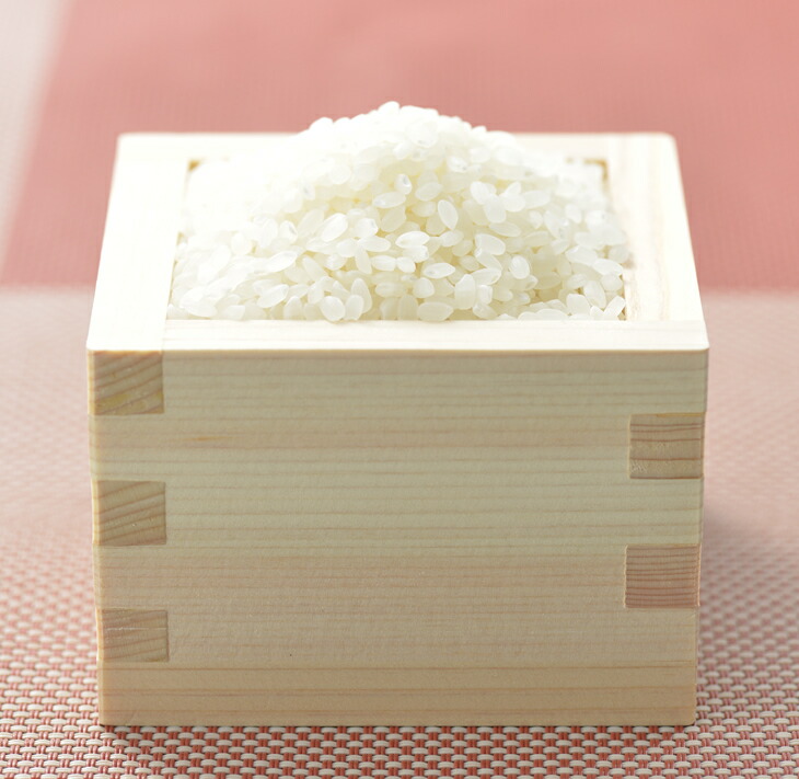 清水観音米こしひかり （特別栽培米7kg）｜ 精米 特別栽培米指定 石川県 七尾市 能登 ※2024年12月上旬頃より順次発送予定