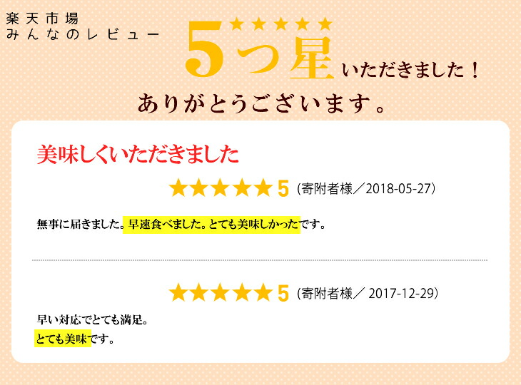 【発送時期が選べる】石川県七尾産精米コシヒカリ5kg・能登ひかり5kg セット 合計10kg◇ ※2024年2月上旬～7月中旬頃に順次発送予定