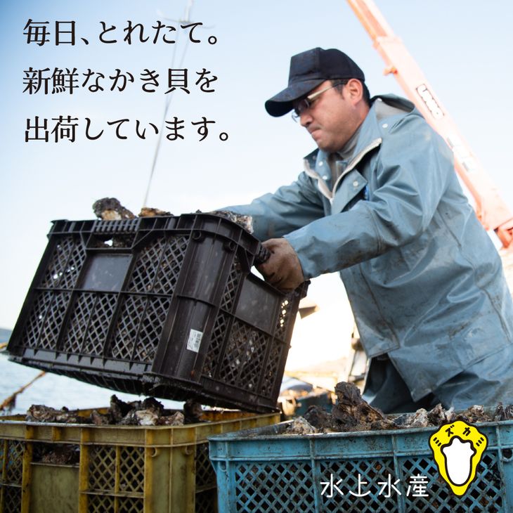 【能登半島地震復興支援】【発送時期が選べる】水上水産の能登のかき 三分缶ガンガン焼き（約20個・ナイフ付）｜ 牡蠣 カキ かき 殻付き オイスター 国産 加熱用 冷蔵 カンカン 缶 BBQ バーベキュー キャンプ  カキフライ 牡蠣鍋 海鮮 魚介 石川県 七尾市 能登   ※離島への配送不可 ※2025年12月中旬～2026年4月下旬頃に順次発送予定