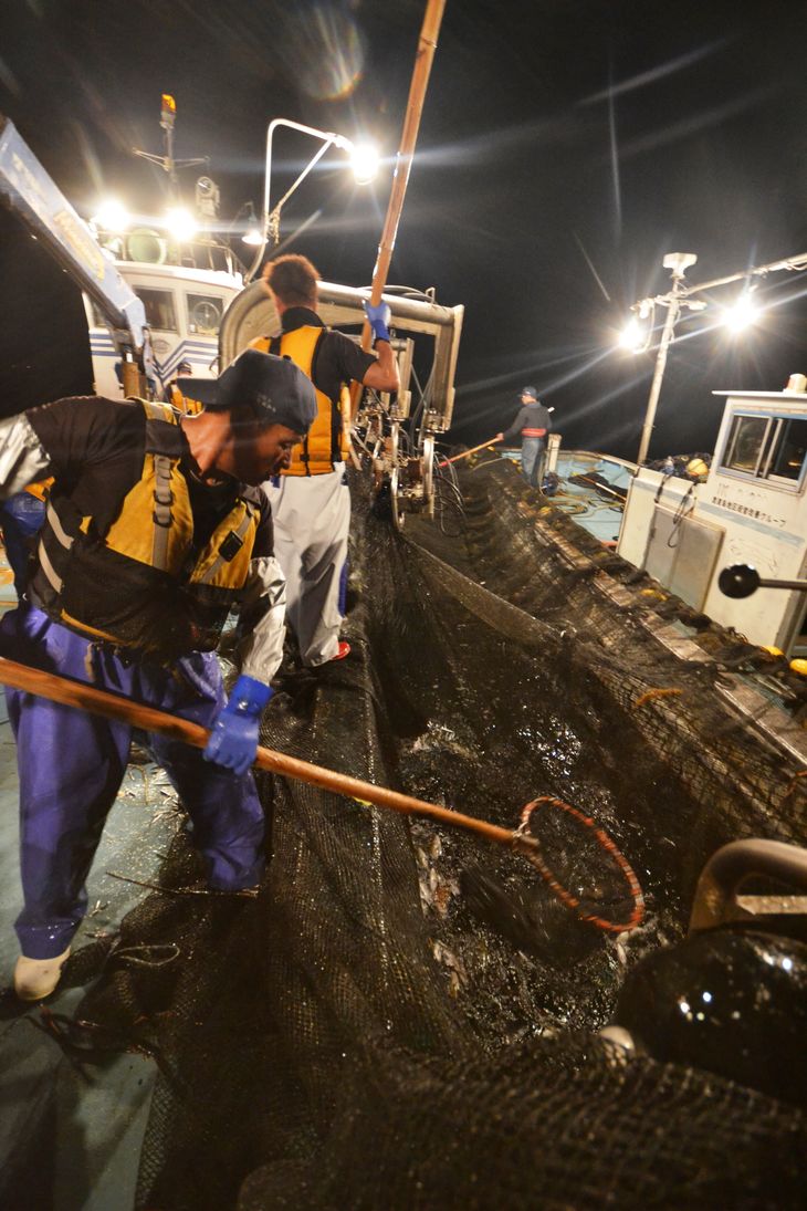 大型定置網 漁師体験（漁乗船体験コース）