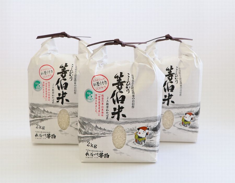 【発送時期が選べる】令和6年産 等伯米こしひかり6kg(2kg×3袋)◇｜世界農業遺産に認定された『能登の里山里海』で育まれたお米です ※2024年11月下旬～2025年6月下旬頃に順次発送予定