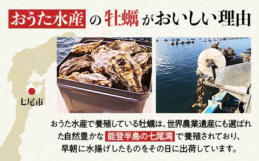 【能登半島地震復興支援】魚介類 牡蠣／能登かき　殻付牡蠣 一斗缶/約10kg（約80～100個） 専用ナイフ 片手用軍手付 /世界農業遺産「能登の里山里海」 石川県 七尾市 能登 ※要加熱 ※2026年1月下旬～5月下旬頃に順次発送予定 ※離島への配送不可
