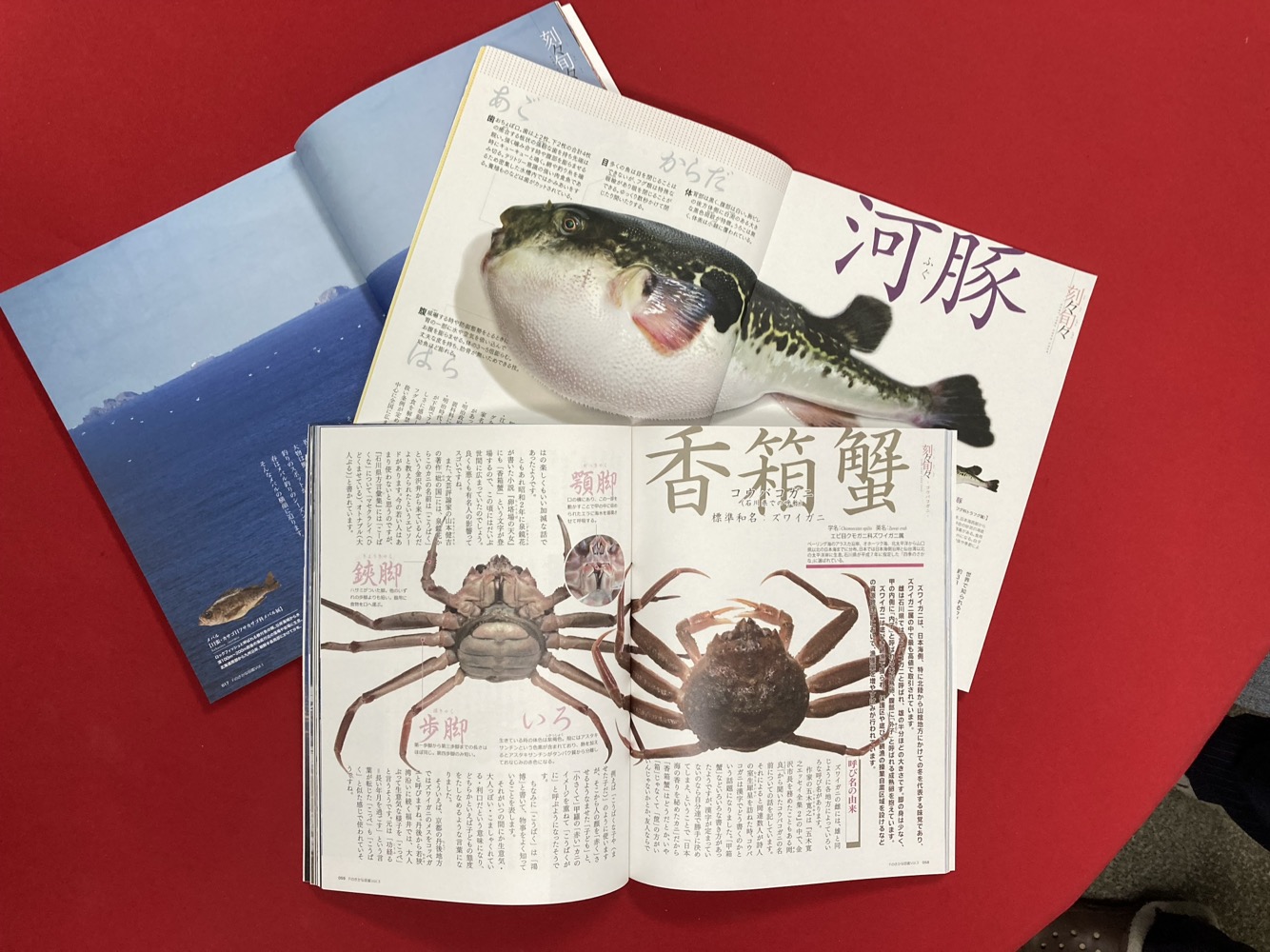 Fのさかなおもしろ図鑑vol.2（単品）