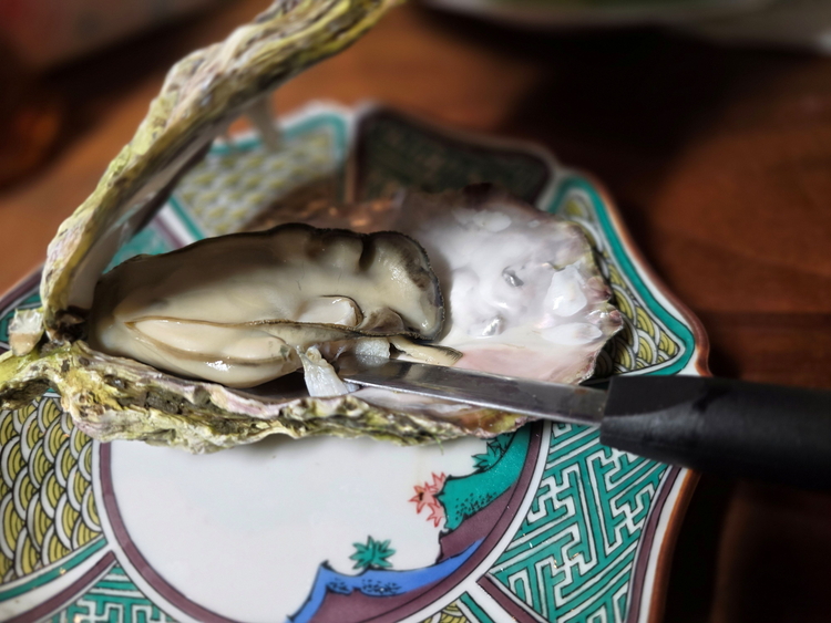 【発送時期が選べる】盛ちゃん（湯田水産） 能登牡蠣 殻付き 一斗缶（70個前後） 約11kg 加熱用 ｜ 牡蠣 カキ かき オイスター 国産 冷蔵  缶 BBQ バーベキュー キャンプ カキフライ 牡蠣鍋 海鮮 魚介 石川県 七尾市 能登 復興 復興支援 ※北海道・沖縄・離島への配送不可 ※2026年1月上旬～3月下旬頃に順次発送予定