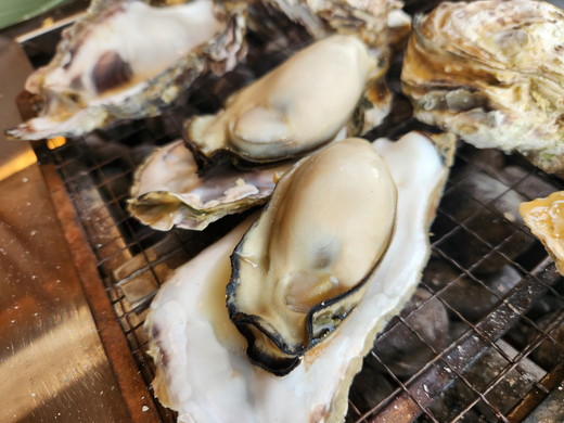 飛田水産　石川県七尾産　能登かき　殻付き一斗缶｜牡蠣　専用ナイフ 牡蠣 かき カキ 能登の里山里海 石川県七尾市 能登半島 ※要加熱 ※2026年1月上旬～5月下旬頃に順次発送予定 ※北海道・沖縄・離島への発送不可