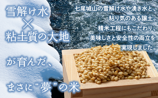 【発送時期が選べる】【新米】令和7年度産 能登産 コシヒカリ 能登夢米6kg（玄米3kg×2袋）｜お米  玄米 ブランド米 こしひかり 石川県 七尾市 能登 復興 復興支援