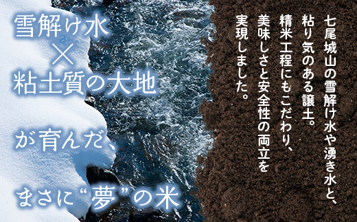 【発送時期が選べる】【新米】令和7年産  能登産 コシヒカリ 能登夢米10kg（精米5kg×2袋）｜お米 白米 精米  こしひかり ブランド米 石川県 七尾市 能登 復興 復興支援