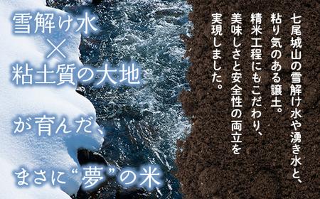  【発送時期が選べる】【新米】令和7年産  能登産 ゆめみづほ 能登夢米10kg（精米5kg×2袋）｜お米 白米 精米  ゆめみづほ ブランド米 石川県 七尾市 能登 復興 復興支援 ※2025年10月中旬～2026年1月中旬頃に順次発送予定
