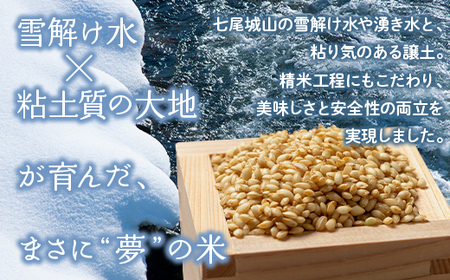 【発送時期が選べる】【新米】令和7年産 能登産にじのきらめき 能登夢米15kg（玄米5kg×3袋）｜米 お米 玄米 にじのきらめき ブランド米 石川県 七尾市 能登 復興 復興支援 ※2025年10月中旬～2026年1月中旬頃に順次発送予定