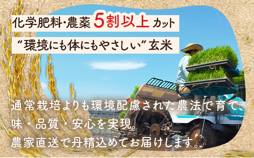 【発送時期が選べる】令和7年産 石川県能登産 こしひかり玄米10kg（5kg×2個） / 米 玄米 10kg 日本初！世界農業遺産認定「能登の里山里海」の恵み ｜石川県 七尾市 能登 こしひかり お米 復興 復興支援