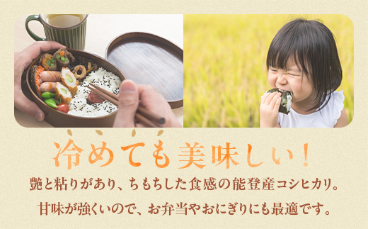 【発送時期が選べる】【定期便】令和6年産 こしひかり 能登米（精米3kg×2袋）×3回/月 ◇ ｜ 世界農業遺産に認定された『能登の里山里海』で育まれたお米 石川県 七尾市 能登 ※2024年11月下旬～2025年6月下旬頃に順次発送予定