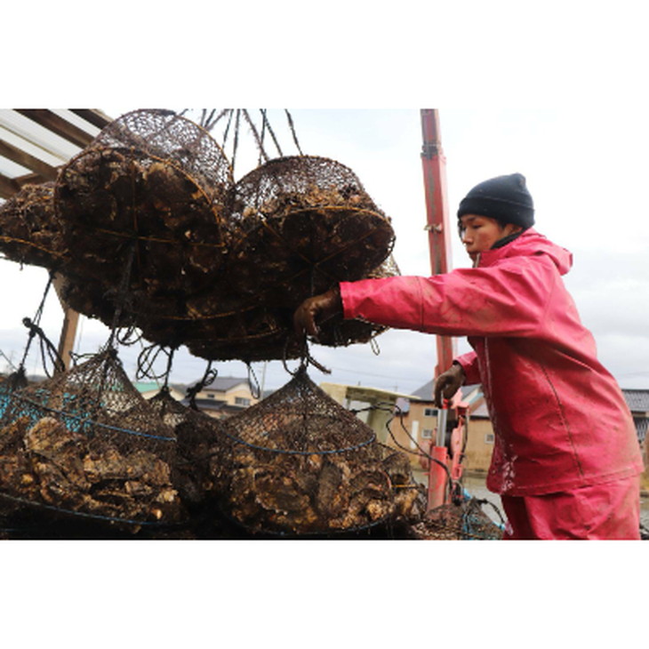 【発送時期が選べる】山口水産の能登かき / 三分缶(約30個入り)×3◇ ｜ 石川県 七尾市 能登 ※2025年1月中旬頃～4月下旬頃に順次発送予定 ※離島への配送不可