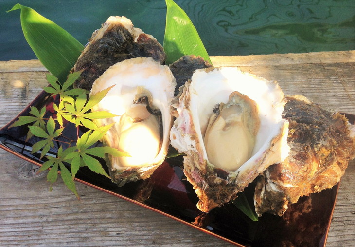 能登産岩牡蠣（2kgセット/8～10個）加熱用 専用ナイフ 片手用軍手付　※2026年6月下旬～8月上旬頃に順次発送予定　※離島への配送不可