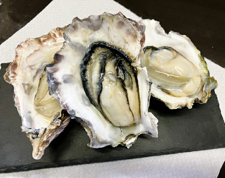 能登牡蠣のガンガン焼きセット20個(約2kg)(冷凍)(牡蠣ナイフ、片手用軍手付)