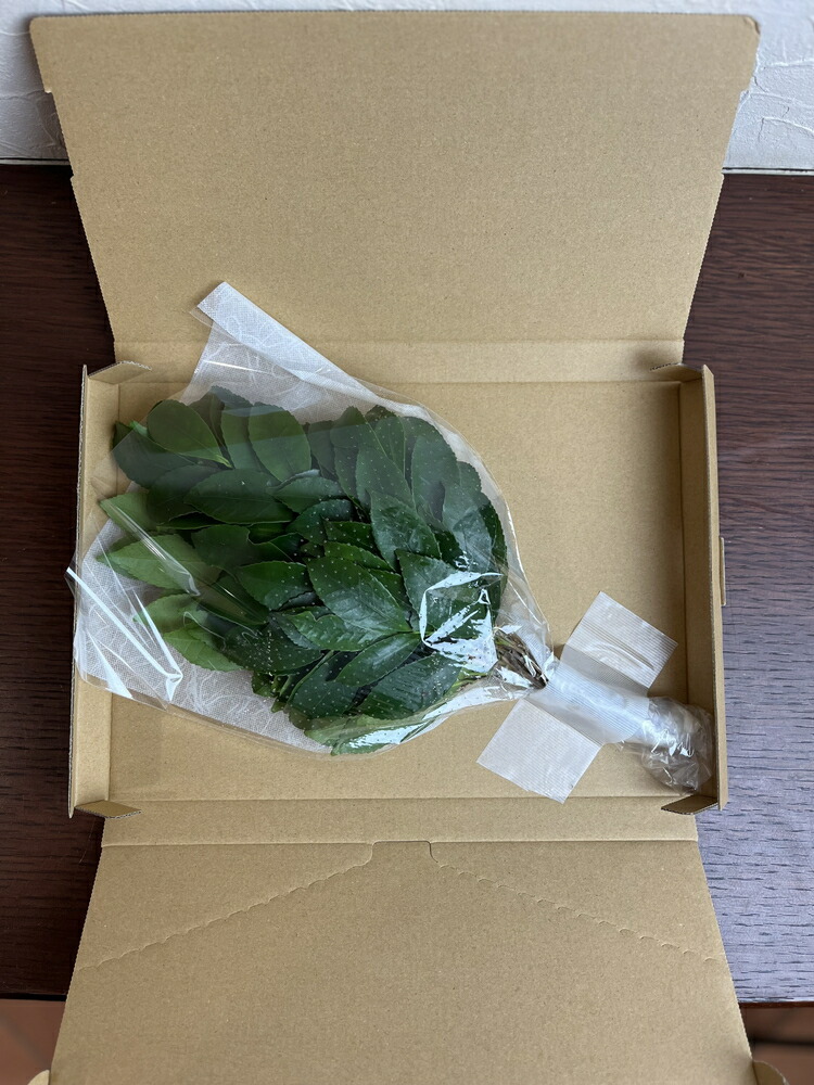 【定期便】能登乃榊 1対 年12回（1年間定期配送） ※着日指定不可