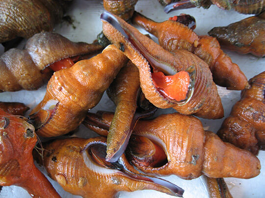 魚介類 /あかにし貝（コナガニシ）100ｇ ※着日指定不可