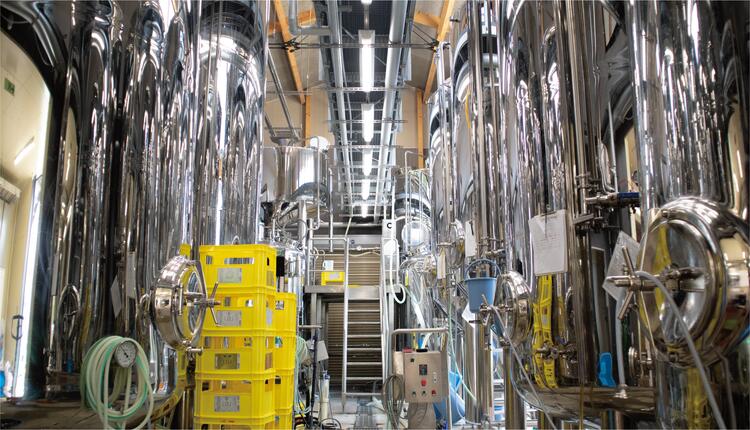 【能登島醸造所仕込み】金澤麦酒3種類セット 24本入