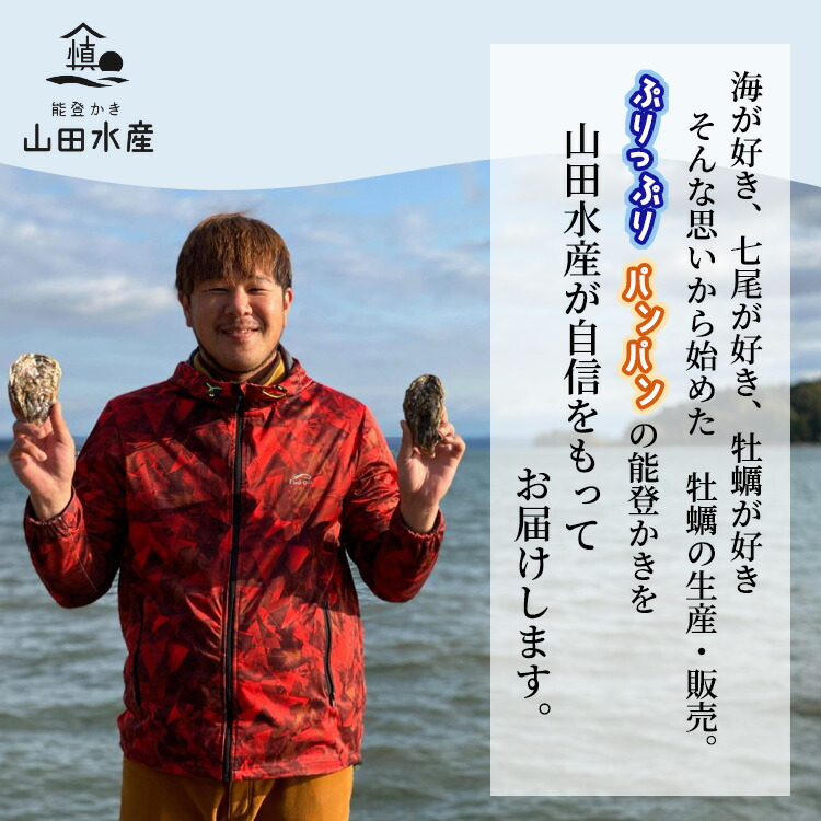 能登かき むき身 800g～850g（箱入り）◇ 石川県 世界農業遺産「能登の里山里海」からお届け｜ 加熱用 カキフライ 牡蠣鍋 能登 カキ 牡蠣 養殖 海鮮 魚介類 冷蔵 石川県七尾市 復興 復興支援 ※離島への配送不可 ※2026年1月下旬～4月下旬頃に順次発送予定