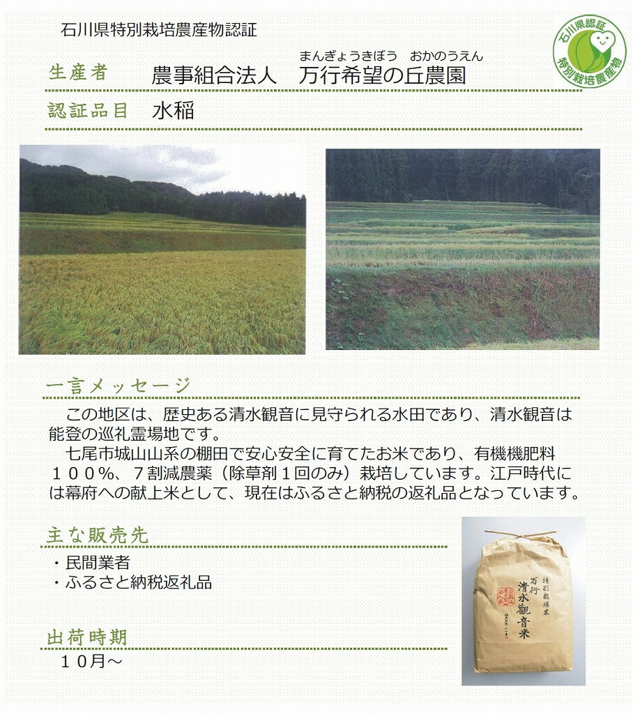 清水観音米こしひかり （特別栽培米7kg）｜ 精米 特別栽培米指定 石川県 七尾市 能登 ※2024年12月上旬頃より順次発送予定