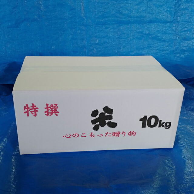 石川県 能登産 こしひかり 精米10kg（5kg×2袋）※2024年1月中旬～2月下旬頃に順次発送予定