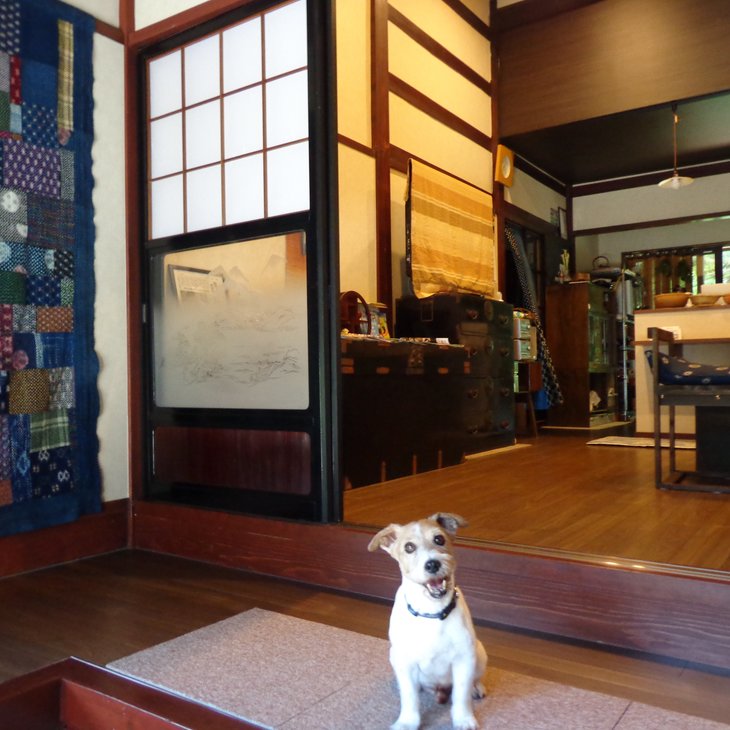 【9畳和室】能登の味覚プラン（朝夕2食付）ペア宿泊券◇｜宿泊 旅館 ペット 食事付き 牡蠣 小型犬 大型犬