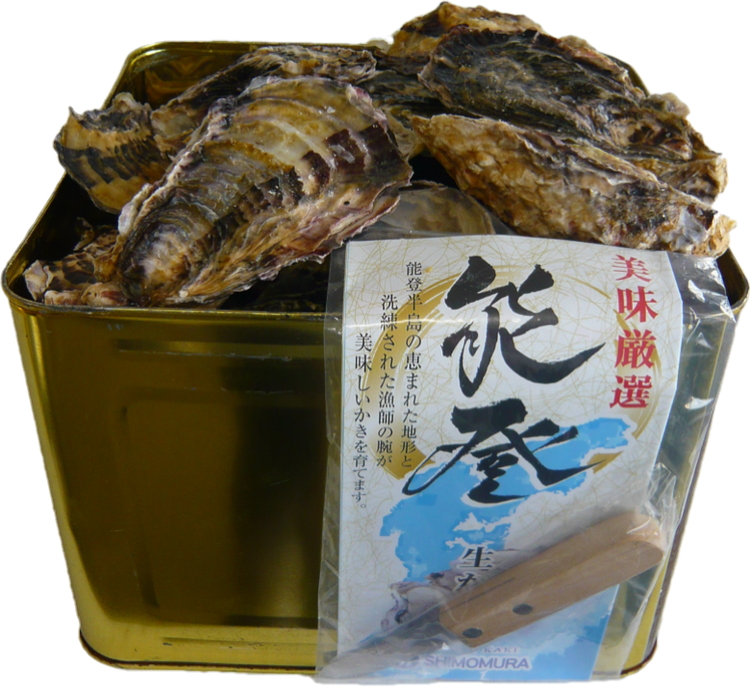 石川県七尾産 能登かき 殻付き 半缶（約40個）｜ 牡蠣 カキ かき オイスター 国産 加熱用 冷蔵 ガンガン カンカン 缶 BBQ バーベキュー キャンプ カキフライ 牡蠣鍋 海鮮 魚介 石川県 七尾市 能登 復興 復興支援 ※北海道・沖縄・離島への配送不可 ※2025年12月上旬～2026年5月下旬頃に順次発送予定