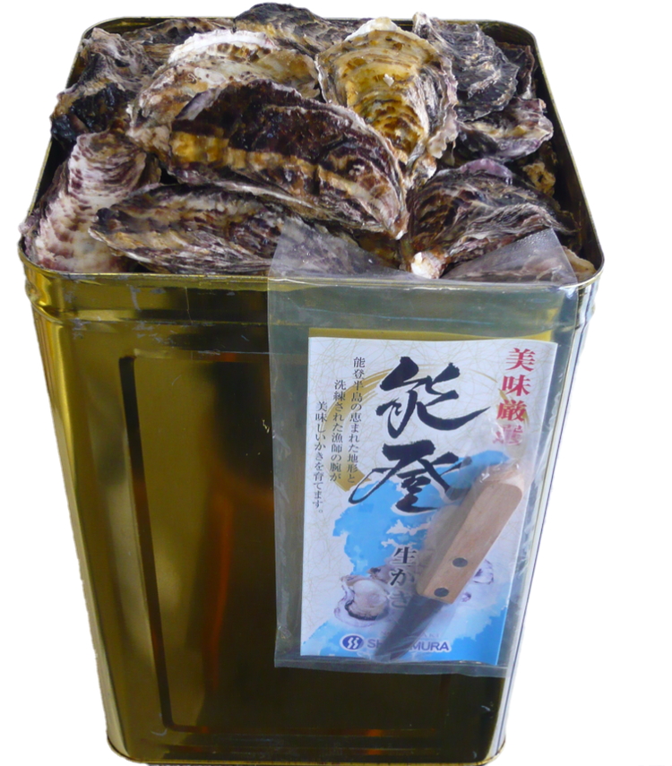 石川県七尾産 能登かき 殻付き 一斗缶（約80個）｜ 牡蠣 カキ かき オイスター 国産 加熱用 冷蔵 ガンガン カンカン 缶 BBQ バーベキュー キャンプ カキフライ 牡蠣鍋 海鮮 魚介 石川県 七尾市 能登 復興 復興支援 ※北海道・沖縄・離島への配送不可 ※2025年12月上旬～2026年5月下旬頃に順次発送予定