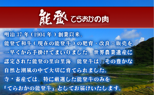 石川県産 能登牛（4～5等級）肩ロースすき焼き用 300g ※2025年1月以降に順次発送予定