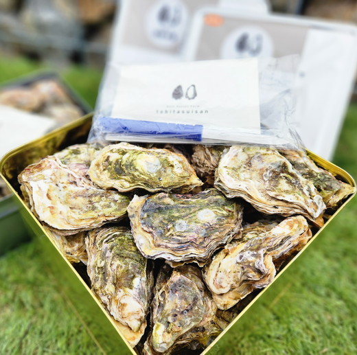 飛田水産　石川県七尾産　能登かき　殻付き一斗缶｜牡蠣　専用ナイフ 牡蠣 かき カキ 能登の里山里海 石川県七尾市 能登半島 ※要加熱 ※2026年1月上旬～5月下旬頃に順次発送予定 ※北海道・沖縄・離島への発送不可