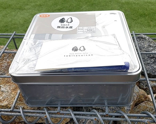 飛田水産　石川県七尾産　能登かき　殻付き3分缶｜牡蠣　専用ナイフ 牡蠣 かき カキ 能登の里山里海 石川県七尾市 能登半島　※要加熱 ※2026年1月上旬～5月下旬頃に順次発送予定 ※北海道・沖縄・離島への発送不可