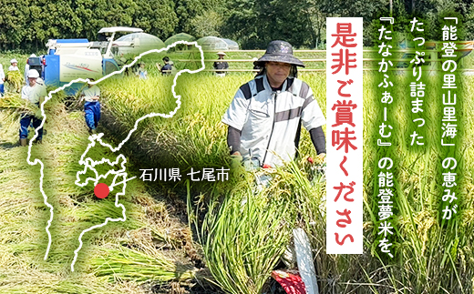 【発送時期が選べる】【新米】令和7年産 能登産 コシヒカリ 能登夢米15kg（精米5kg×3袋）｜お米 白米 精米  こしひかり ブランド米 石川県 七尾市 能登 復興 復興支援